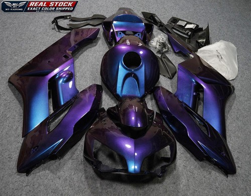 Msc chameleon discolored - chameleon,